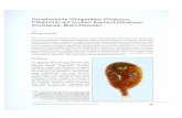 Symphorionte Wimpertiere (Protozoa, Ciliophora) auf Großen …homepage.univie.ac.at/~edere6/UZK/buch/059.pdf · 2004. 10. 18. · Die epizoischen Ciliaten der Großen Kiemenfußkrebse