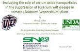 in the suppression of fusarium wilt disease in tomato (Solanum lycopersicum) plantsusnano.org/SNO2017/pdf/6b_Ishaq.pdf · 2017. 11. 13. · Dr. Jorge Gardea-Torresdey’sResearch