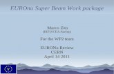 (IRFU/CEA-Saclay)€¦ · (IRFU/CEA-Saclay) For the WP2 team EURONu Review CERN April 14 2011. Outline The project and the challenges Target – horn design status Physics reach and