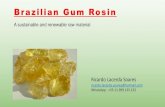 Brazilian Gum Rosin · 2020. 9. 30. · Brazilian Gum Rosin A sustainable and renewable raw material. Agenda: - Pine forests location in Brazil - Brazil data - Brazil sustainability