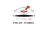 POLAR PLUNGE What is a Polar Plunge? As the name implies, a Polar Plunge is a winter fundraising event