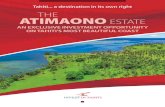 Tahiti a destination in its own right THE ATIMAONO · 2020. 12. 22. · Tahaa Tahiti Leeward Islands Windward Islands AN OPPORTUNITY ON THE ISLAND OF TAHITI ... pontoons, over-water