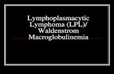 Lymphoplasmacytic Lymphoma (LPL)/ Waldenstrom ......PB or BM helpful A diagnosis of exclusion in the absence of splenectomy SMZL: Immunophenotype Positive: sIgM, sIgD, CD20, CD79a