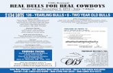 13th Annual REAL BULLS FOR REAL COWBOYSCudlobe Bulls Another Reason Why are the Way in the Angus Industry Leading Another Reason Why Cudlobe Bulls are Leading the Way in the Angus