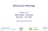 RAB, Kigali - Rwanda May 02 – 13, 2017hpc.ilri.cgiar.org/beca/training/IMBB_2017/Presentations...May 02 – 13, 2017 Molecular biology is the study of biology at a molecular level,