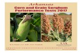 Corn and Grain Sorghum Performance Tests 2017 · 2020. 5. 26. · The tests provide information to companies marketing ... Rachis branches intermediate in length. 2 = Head long and