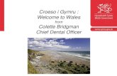 Croeso i Gymru : Welcome to Wales · 2017. 7. 3. · Croeso i Gymru : Welcome to Wales from Colette Bridgman Chief Dental Officer . Improving Oral Health for Older People Living in