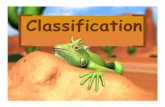 classification of life - Weebly · 2020. 1. 24. · Classification Groups •Taxon ( taxa -plural) is a category into which related •organisms are placed There is a hierarchy of