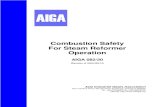 Combustion Safety For Steam Reformer OperationThis publication applies to steam reformers that are operated with natural gas, refinery off-gas, naphtha, and other light hydrocarbon