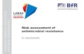 Risk assessment of antimicrobial resistance...MethodologicalaspectsforAMR RiskAssessment General principlesforRiskAssessments apply A. Buschulte, 27.08.2019, Latin American Risk Assessment
