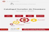Catalogul Surselor de Finanțare - Ianuarie 2020 · 2020. 1. 30. · de sprijin, de asistenta, de ingrijire sociala, medicala, in vederea accesului pe piata muncii, precum si promovarea