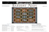 Harvest Moon... fabrics.net •STUDIO e PROJECTS• Page 5 of 7 Fig. 9 Fig. 10 Fig. 11 Fig. 14 Fig. 15 Fig. 16 Fig. 17 Fig. 12 Fig. 13 Unit 2 make 16 C DD DD Unit 3 make 15 C D D D