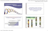 Computational searches of biological sequences vinuesa/tlem/docs/Pair_Wise... Xenology: The relationship