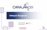 Johannes Ahrends CarajanDB GmbH · A tablespace is a logical storage container for segments. Segments are database objects, such as tables and indexes, that consume storage space.