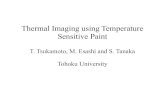 Thermal Imaging using Temperature Sensitive Paint · 2013. 12. 3. · High speed thermal imaging … using UV flash method TSP Eu(TTA) 3 + PVB Excitation (355 nm) Luminescence (610