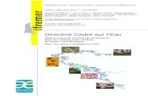 Directive Cadre sur l’Eau · 2010. 12. 28. · 3 DCE Loire-Bretagne : contrôle de surveillance 2007 avril 2009 1. Introduction La Directive Cadre sur l’Eau 2000/60/CE établit