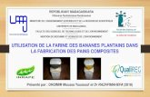 MISE AU POINT DES PROCEDES DE FABRICATION DE LA FARINE INFANTILE A BASE DES FARINES ...Youssouf+Dhoimir.pdf · 2018. 11. 30. · farines normales, entre 1 et 1,2 %. ... de glucides