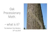 Oak Processionary Moth. – what is it?...Oak Processionary Moth –The treatments: •Application of approved insecticide or bio-pesticide in spring (mid-April/May) to kill young