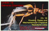 CHEM 1B General Chemistrysrjcstaff.santarosa.edu/~oraola/CHEM1BLECT/Ch. 16 KInetics/chem … · Kinetics: Rates and Mechanisms of Chemical Reactions 16.1 Focusing on Reaction Rate