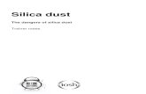 The dangers of silica dust - No Time To Lose€¦ · Silica particles are much smaller than a fine grain of sand. Support information Crystalline silica is a natural substance found