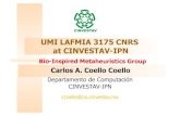 UMI LAFMIA 3175 CNRS at CINVESTAV-IPN · 2011. 9. 18. · metaheuristics at the UMI LAFMIA 3175 currently involves the participation of 3 researchers from CINVESTAV-IPN, 1 ... Universidad