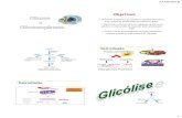 Glicólise e Oxidação Do Piruvato...27/02/2018 1 Objetivos: Descrever a sequencia de reações na glicólise anaeróbica, a via central do metabolismo em todas as células; Identificar