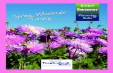 2020 - Vandenberg Hort · 2019. 11. 27. · All of our prices are subject to change without notice. TERMS CLAIMS ... Dahlia Zoey Rey 1 $2.06 10 $20.61 25 $1.27 $31.71 ... Dahlia Dutch