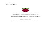 Raspberry Pi Compute Module 3+ Raspberry Pi Compute Module ... The Raspberry Pi Compute Module 3+ (CM3+)