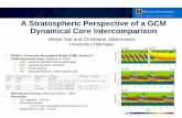 A Stratospheric Perspective of a GCM Dynamical Core ......A Stratospheric Perspective of a GCM Dynamical Core Intercomparison Weiye Yao and Christiane Jablonowski University of Michigan