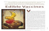 Edible Vaccines - University of California, Los Angelesple who ate a potato vaccine aimed at the Norwalk virus. Similarly, after Hil-ary Koprowski of Thomas Jefferson University fed