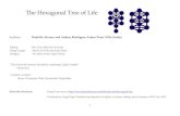 The Hexagonal Tree of Life - Pasadofuturo.com...Approximately 3.800 years ago, Abraham, the Patriarch, wrote the Sepher Yetzirah or Book of Formation, which is the first compendium-Kabbalistic