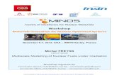 Multiscale Modelling of Nuclear Fuels under Irradiation...Workshop Materials Innovation for Nuclear Optimized Systems December 5-7, 2012, CEA – INSTN Saclay, France Multiscale Modelling