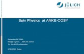 Spin Physics at ANKE-COSYtheor.jinr.ru/~spin2012/talks/plenary/Dymov.pdfNN interaction properties at small momentum transfers: • small angle pp, np-elastic scattering • charge-exchange