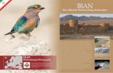 M. Biasioli · 2016. 3. 8. · M. Biasioli IRAN Iran is a huge country, around five times the UK, situated at the edge of the western palearctic region, and inside its boundaries