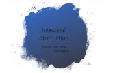 Intestinal obstruction...Intestinal Obstructions : arrest of downward propulsion of intestinal content either by 1-mechanical(dynamic ) which may be partial or complete, occurring