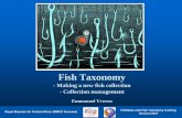 Fish Taxonomy - Royal Museum for Central Africa · 2018. 11. 26. · Fish Taxonomy - Making a new fish collection - Collection management Emmanuel Vreven Royal Museum for Central