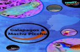galapagos and machu picchu tour - happygringo.com...GALAPAGOS & MACHU PICCHU:DAY BY DAY ITINERARY BL Isabela Volcanoes - Early in the morning (7:00 am aprox.), after breakfast, we