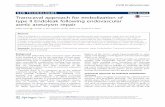 Transcaval approach for embolization of type II Endoleak … · 2019. 1. 9. · NEW TECHNOLOGIES Open Access Transcaval approach for embolization of type II Endoleak following endovascular