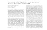 Neuron, Vol. 28, 807–818, December, 2000, Copyright 2000 ......University of Hawaii nervous system (CNS) during metamorphosis involves Honolulu, Hawaii 96822 reorganization of larval