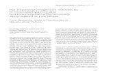 Rat Hepatocarcinogenesis Induced N-nitrosodiethylamine N ... Cancer.pdf1158 Cortinovis, Klimek, and Nogueira AJPNovember1991, Vol. 139, No. 5 beenearlyobserved in rats administered