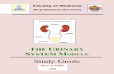 THE URINARY SYSTEM MODULE - kaukau.edu.sa/files/140/subjects/9941_urinary_module_-_january_2009[1].pdf · 4 Gross anatomy of upper and lower urinary tract Anatomy 5 Histology / Embryology