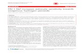 RESEARCH Open Access HIV-1 Nef increases astrocyte sensitivity … · 2017. 8. 27. · HIV-1 Nef increases astrocyte sensitivity towards exogenous hydrogen peroxide Sabine Masanetz1,