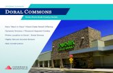 OFFERING SUMMARY Doral Commons · 2017. 6. 1. · Doral Commons, a 138,000 sf high-quality grocery anchored community shopping . center located in Doral -- one of Miami-Dade’s most