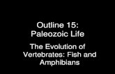 Outline 15: Paleozoic Lifepages.geo.wvu.edu/~kammer/g3/15.pdf · 2015. 3. 11. · • They are the Agnatha, or jawless fish. • Teeth on their lips and tongues. What is a vertebrate?