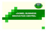 «GOMEL BUSINESS INNOVATION CENTRE» · 2020. 7. 3. · January, 1st, 2007 has made according to 491,9 thousand person. Gomel • In Gomel 20 scientific research institutes, project