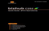 Quick Guide [Print Operations] · C252 x-1 Welcome Thank you for purchasing the Konica Minolta bizhub C252. The bizhub C252 is equipped with an in tegrated printer controller that
