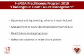 HeFSSA Practitioners Program 2019 “Challenges in Heart Failure Management” · 2019. 10. 22. · CASE STUDY I Heart failure during pregnancy ... Cardiology, 2014 2700 2900 3100