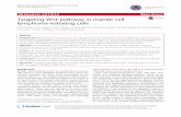 Targeting Wnt pathway in mantle cell lymphoma-initiating cells · 2017. 8. 29. · RESEARCH ARTICLE Open Access Targeting Wnt pathway in mantle cell lymphoma-initiating cells Rohit