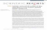 Cellular and animal models of skin alterations in the autism ......Scientific RePoRts | (2019) 9:736 DOI1.13s415-1-35-2 1 Cellular and animal models of skin alterations in the autism-related