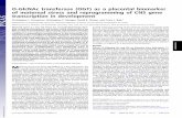 O-GlcNAc transferase (OGT) as a placental biomarker of ...ders,including schizophrenia and autism,which often exhibit a sex bias in rates of presentation, age of onset, and symptom